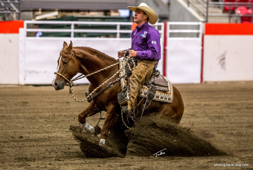 NORTHERN METALLIC and John Swales