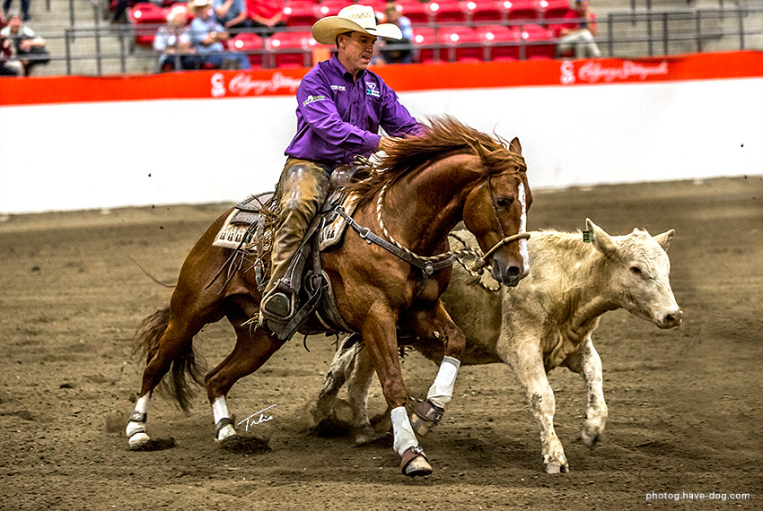 NORTHERN METALLIC and John Swales