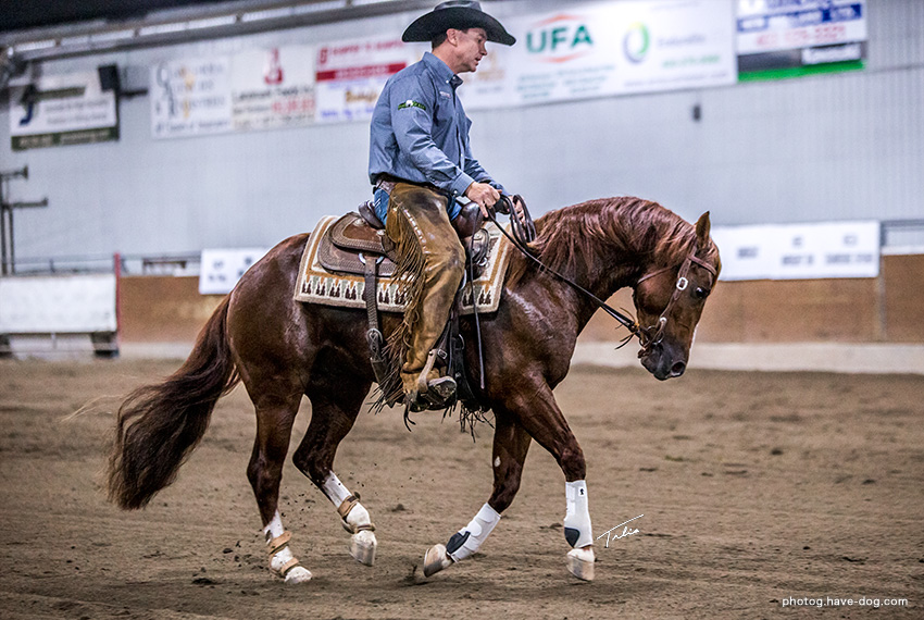 NORTHERN METALLIC and John Swales